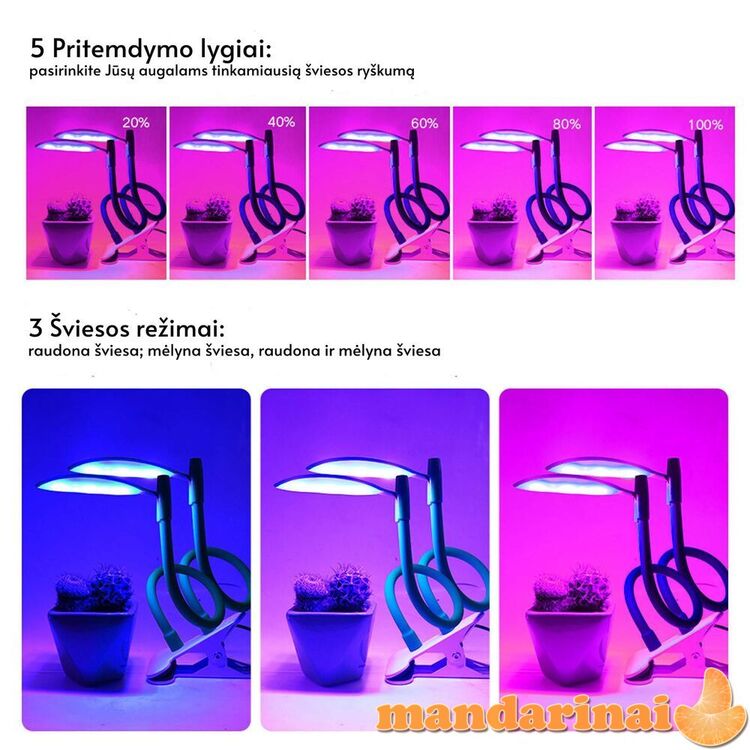Dviguba stalinė lempa augalams su išmaniuoju valdymu