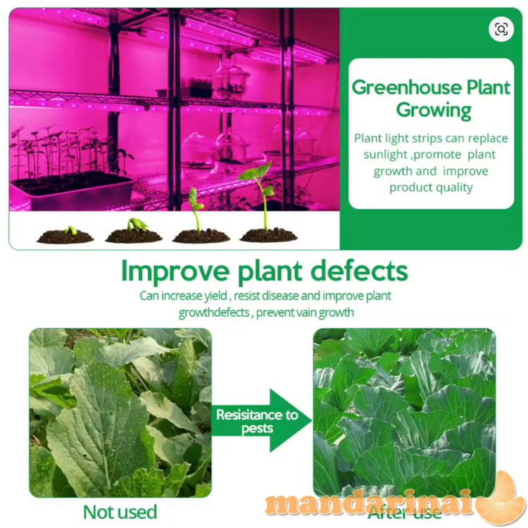 LED juosta augalams auginti 3M  1