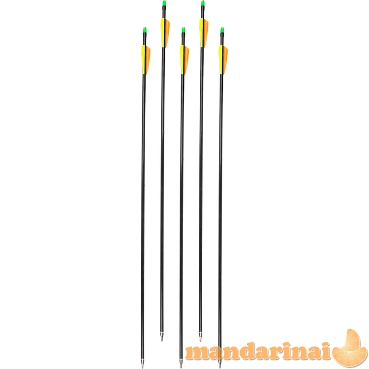 Strėlės su varžtelio antgaliu inSPORTline Adamson, 5 vnt.