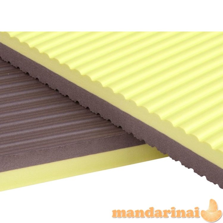 Kilimėlis treniruotėms inSPORTline Profi 180x60x1.6cm
