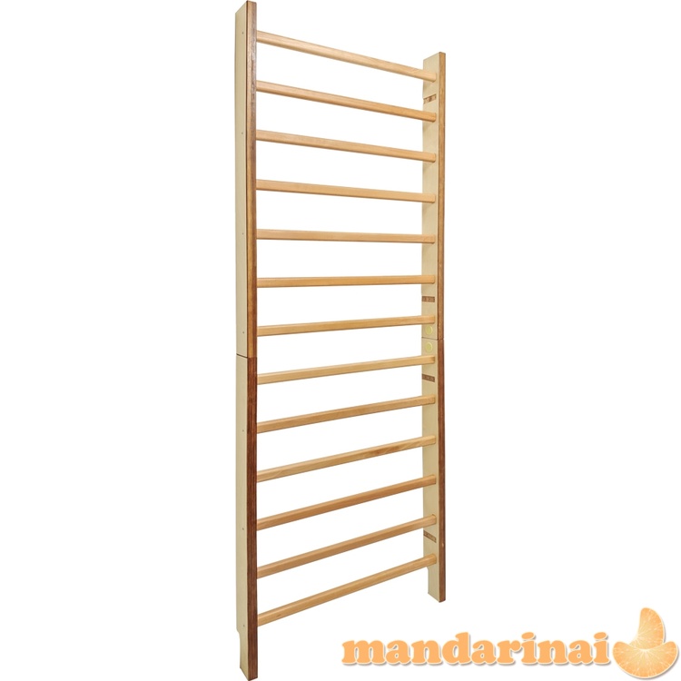 Gimnastikos sienelė inSPORTline Dualmar 195 x 65 cm