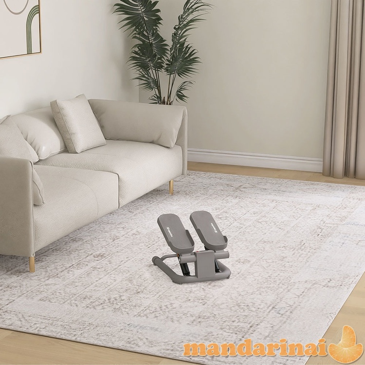 Mini steperis inSPORTline Movix