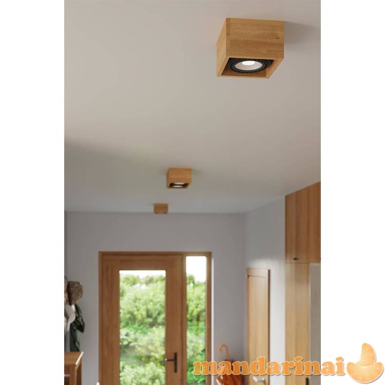 Plfond keturi 1 natūrali mediena 5