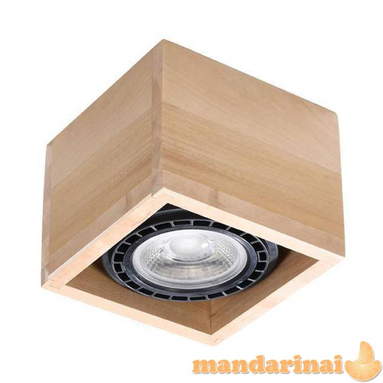 Plfond keturi 1 natūrali mediena 2