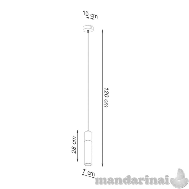 Pakabinama lempa zane 1 pilka 6