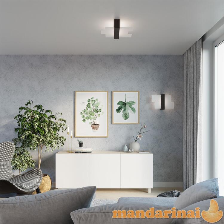 Lubinis šviestuvas fenikai 2 wenge