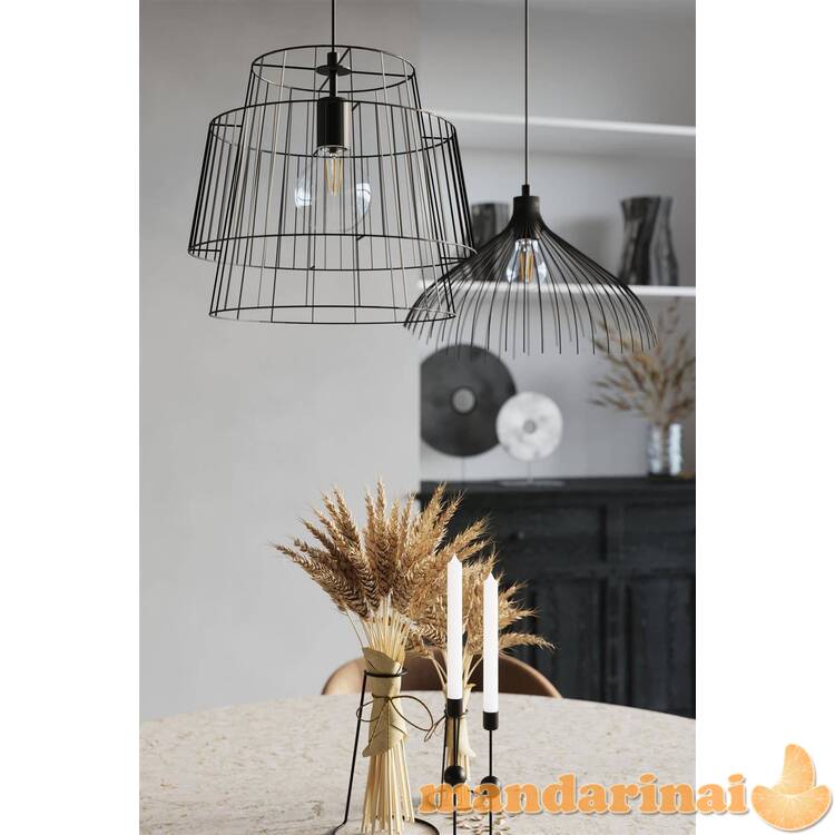 Pakabinama lempa juoda