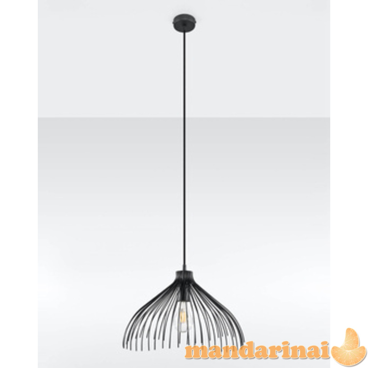 Pakabinama lempa juoda