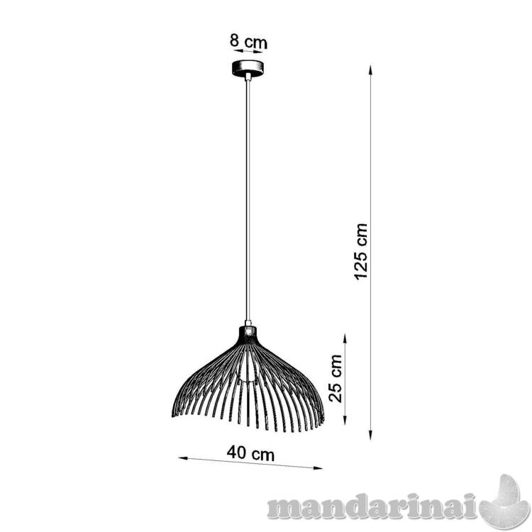 Pakabinama lempa juoda