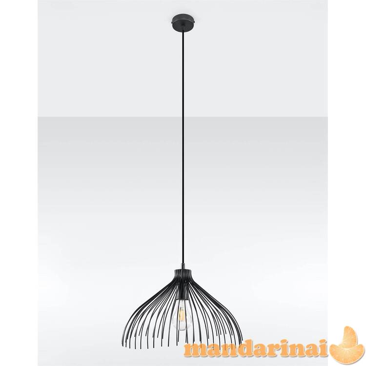 Pakabinama lempa juoda