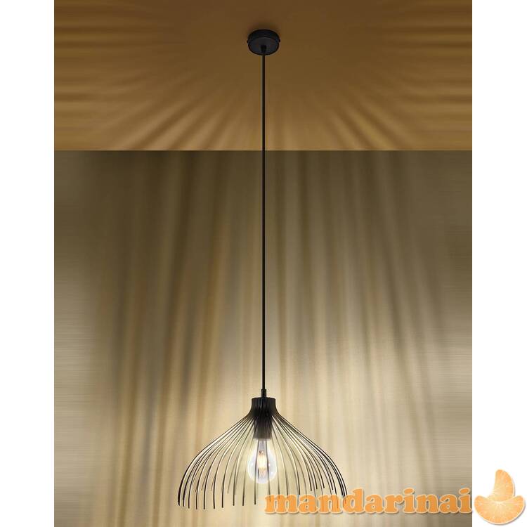 Pakabinama lempa juoda