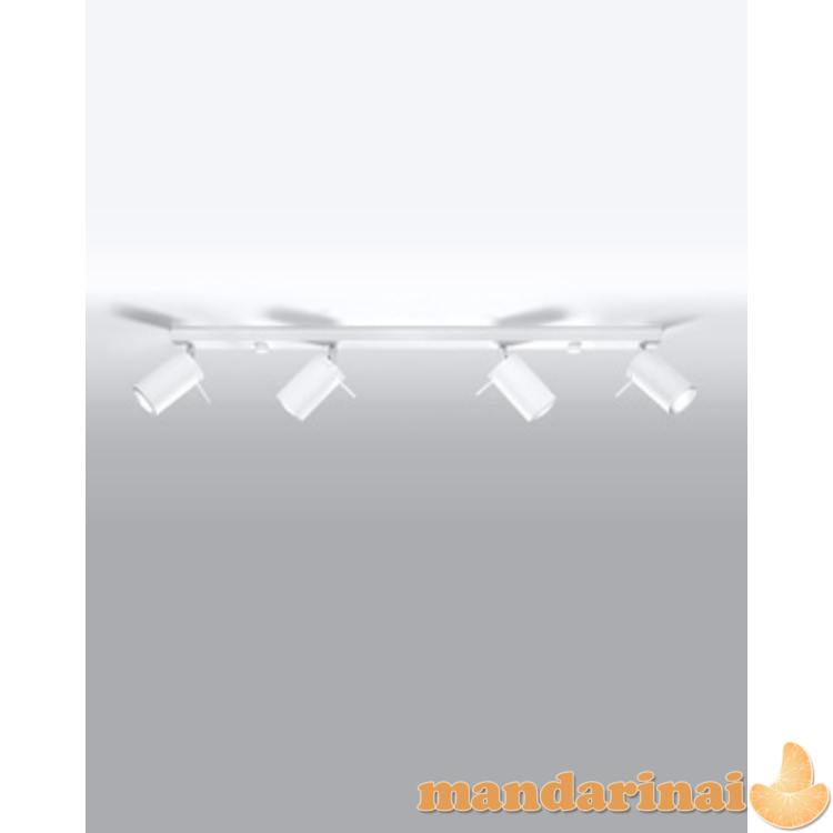 Šviestuvas žiedas 4L baltas 8