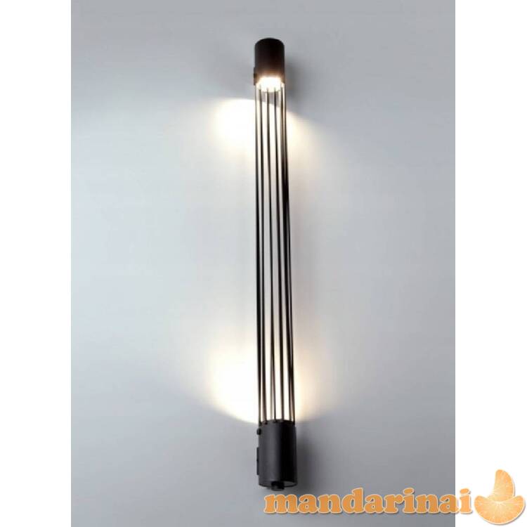 Sieninė lemputė Valo juoda