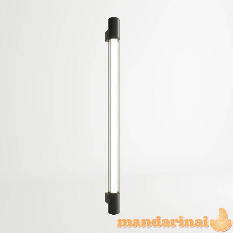 Sieninė lemputė Valo juoda