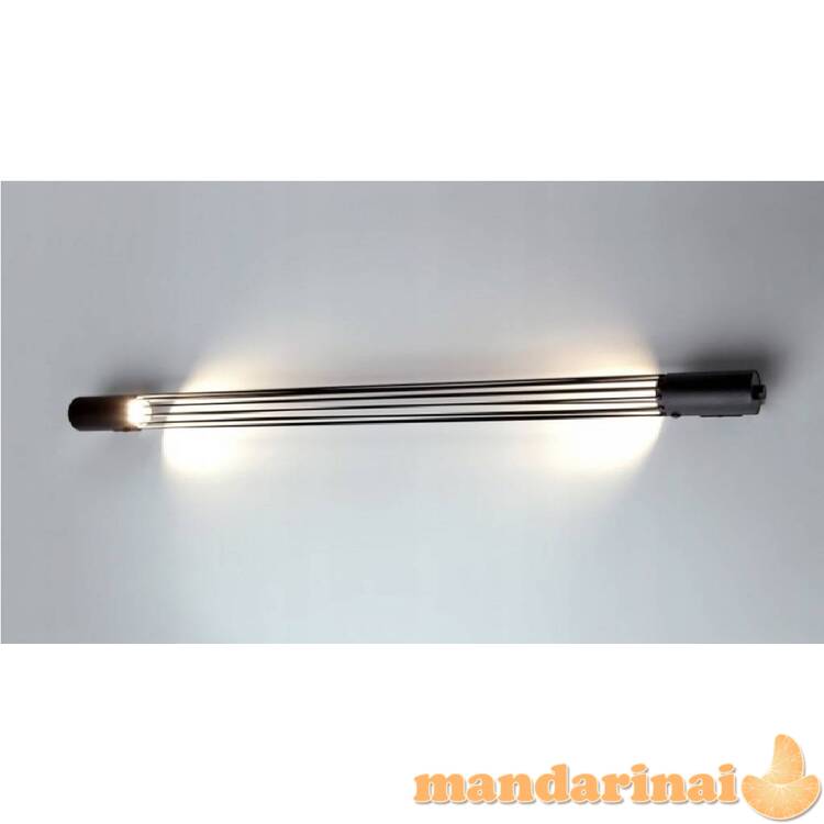 Sieninė lemputė Valo juoda