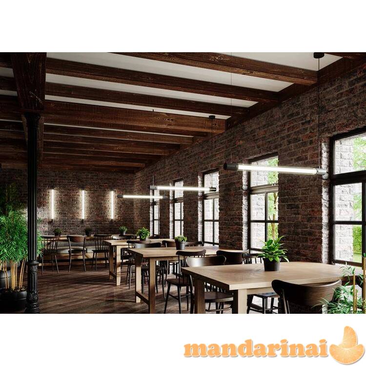 Sieninė lemputė Valo juoda