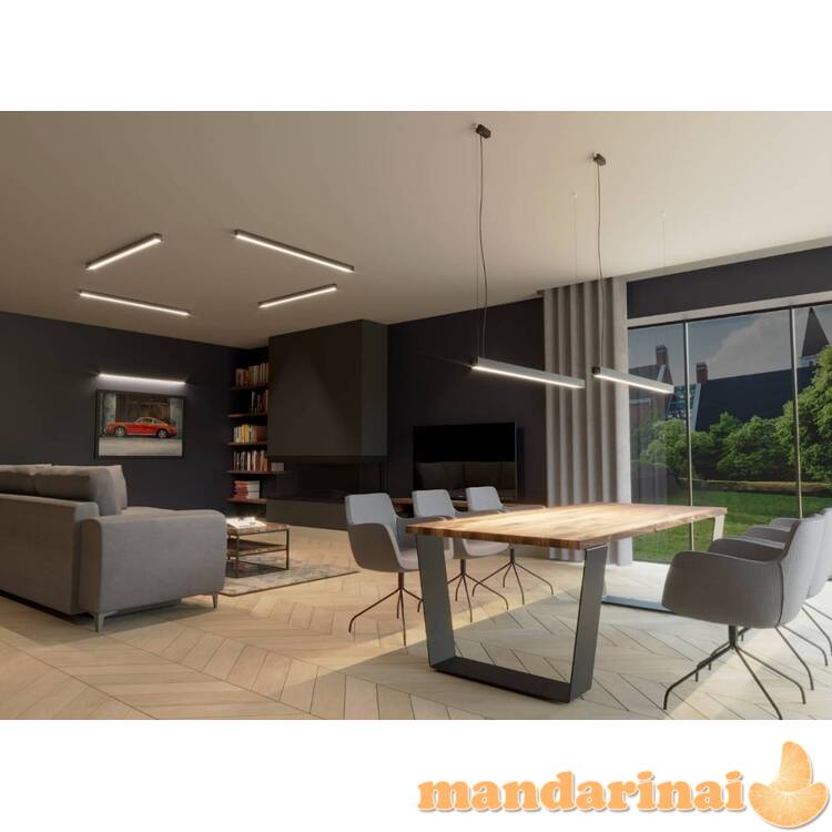 Sieninis šviestuvas PINNE 117 juodas