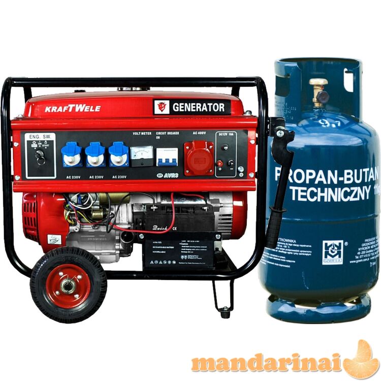 Ekonomiškas trifazis 8,8KW elektros generatorius su dujų įranga