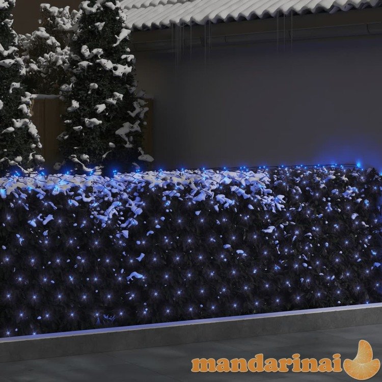 Kalėdinių lempučių tinklas, 3x3m, 306 mėlynos led