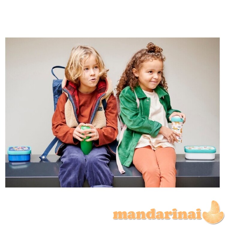 Vaikiška pietų dėžutė  2