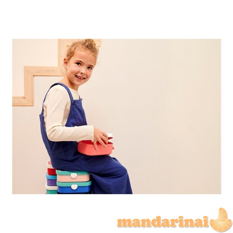 Vaikiška pietų dėžutė  3