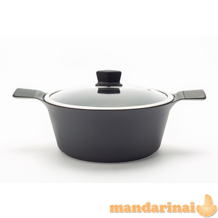 Indukcinis puodas su dangčiu Zyle 