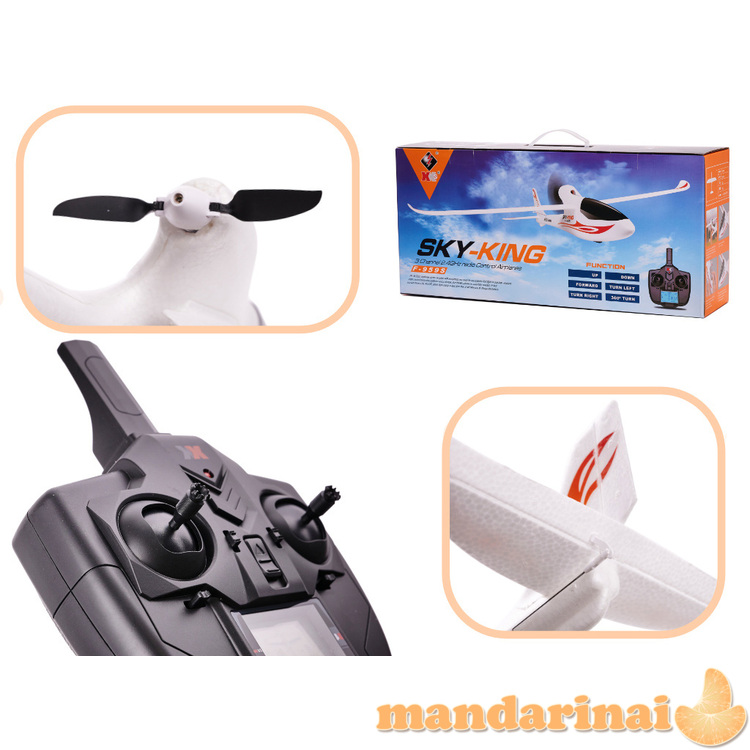 WLtoys Sky King F959S 2.4GHz RC lėktuvas