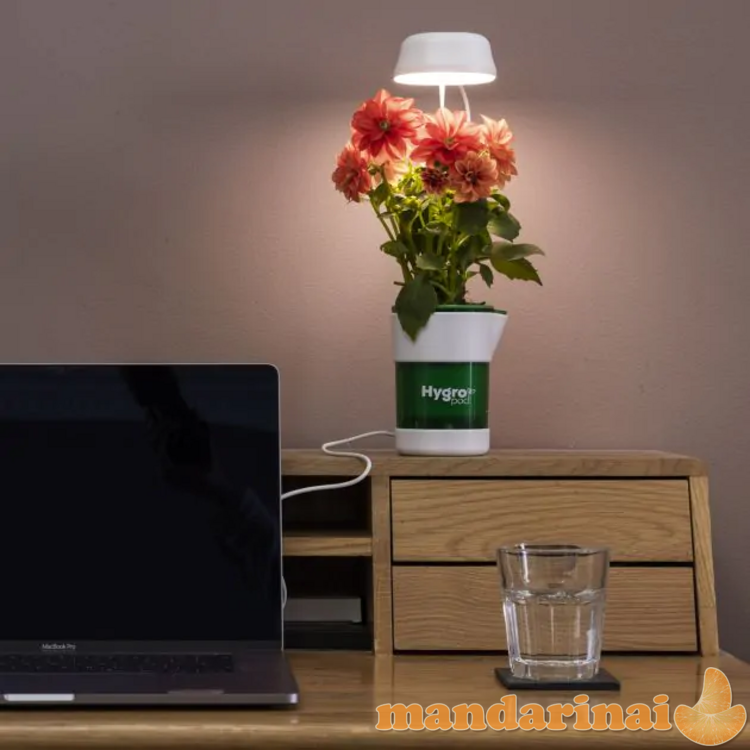 Išmanusis vazonas su drėkinimo ir apšvietimo sistema 1