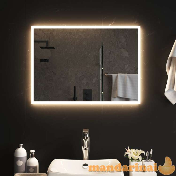Vonios kambario led veidrodis, 70x50cm