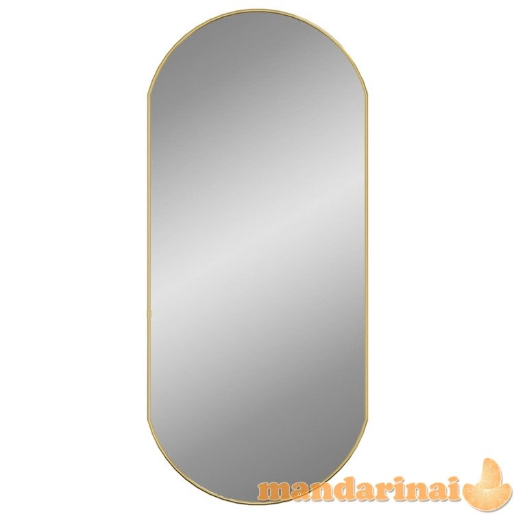 Sieninis veidrodis, auksinės spalvos, 90x40cm, ovalo formos