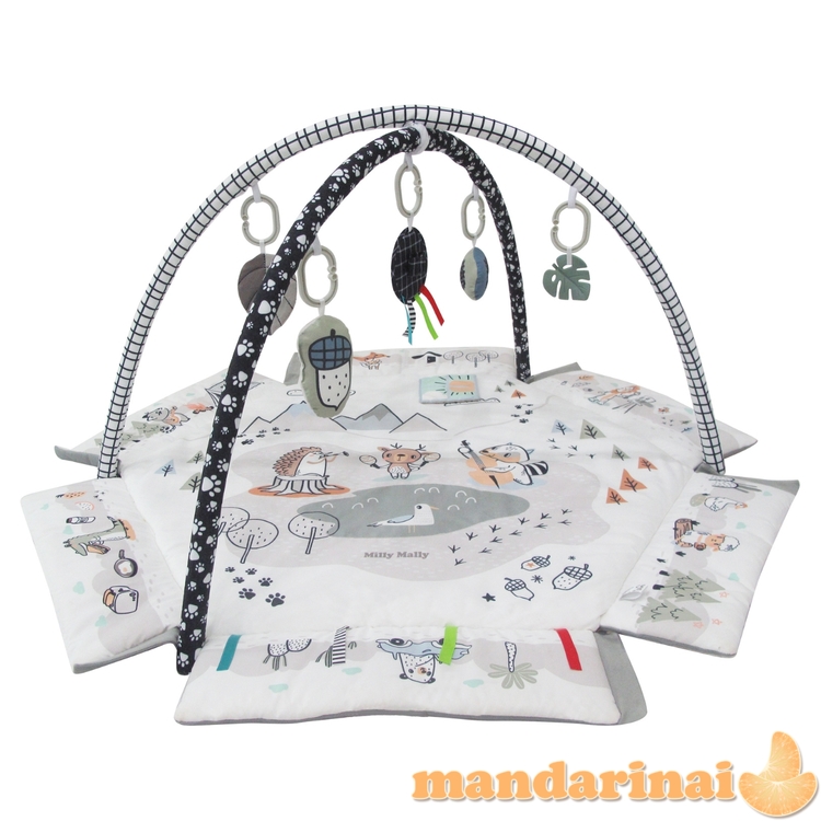 5in1 Minky kūdikio kilimėlis 1