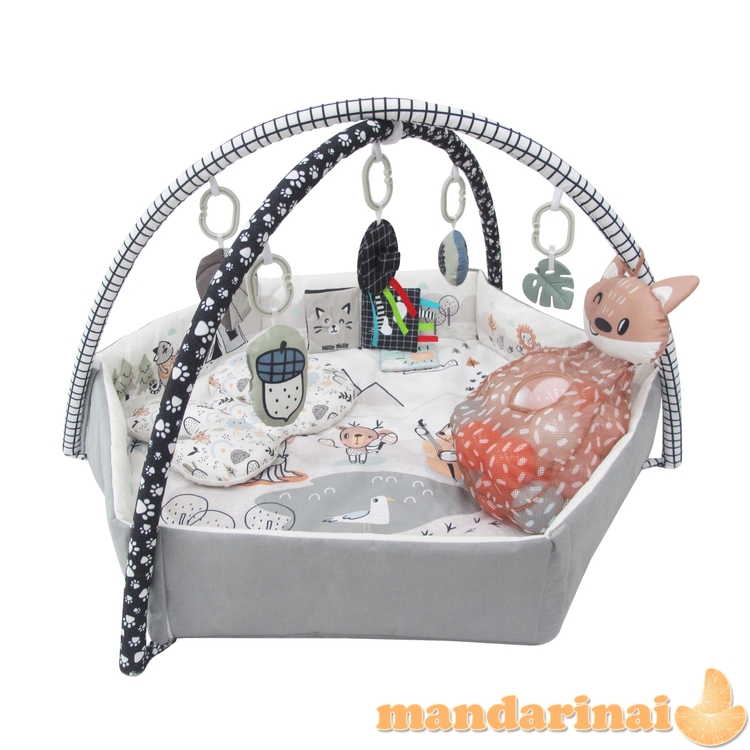 5in1 Minky kūdikio kilimėlis 2