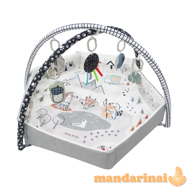 5in1 Minky kūdikio kilimėlis 4