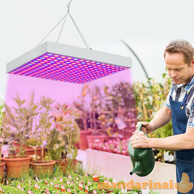 65W 225 vnt. modulių panelė augalų daiginimui ir auginimui