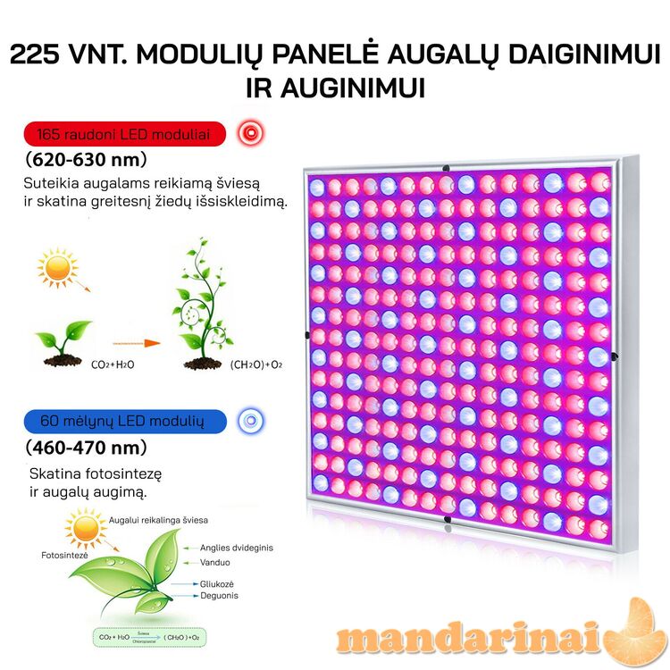 65W 225 vnt. modulių panelė augalų daiginimui ir auginimui