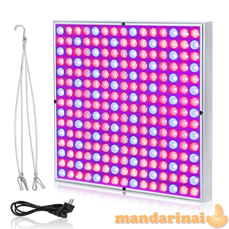 65W 225 vnt. modulių panelė augalų daiginimui ir auginimui