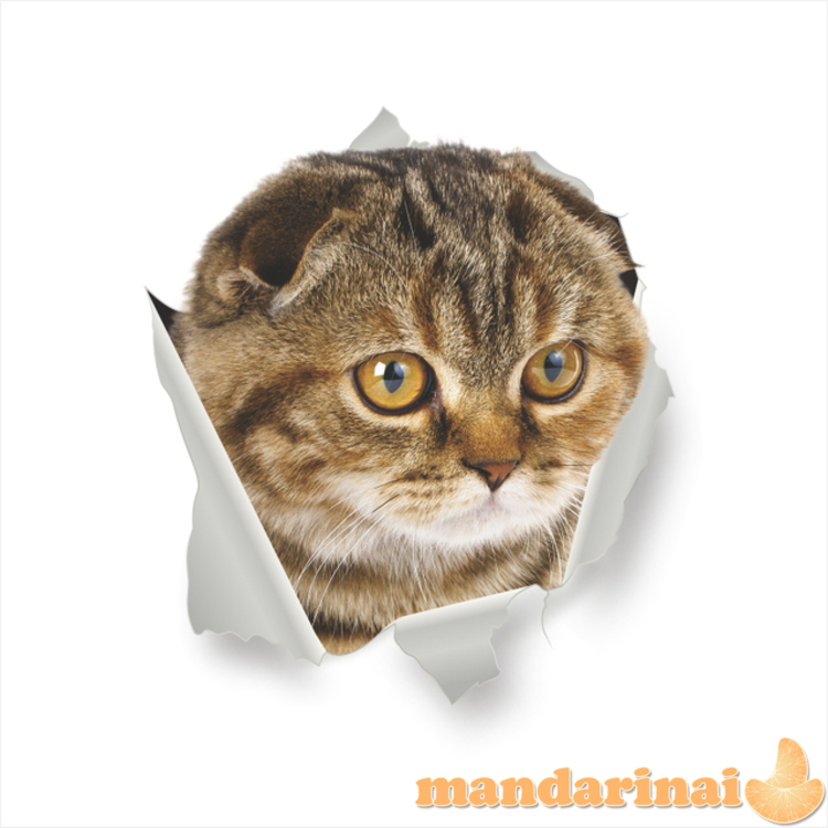 3D lipdukas interjerui Kačiukas