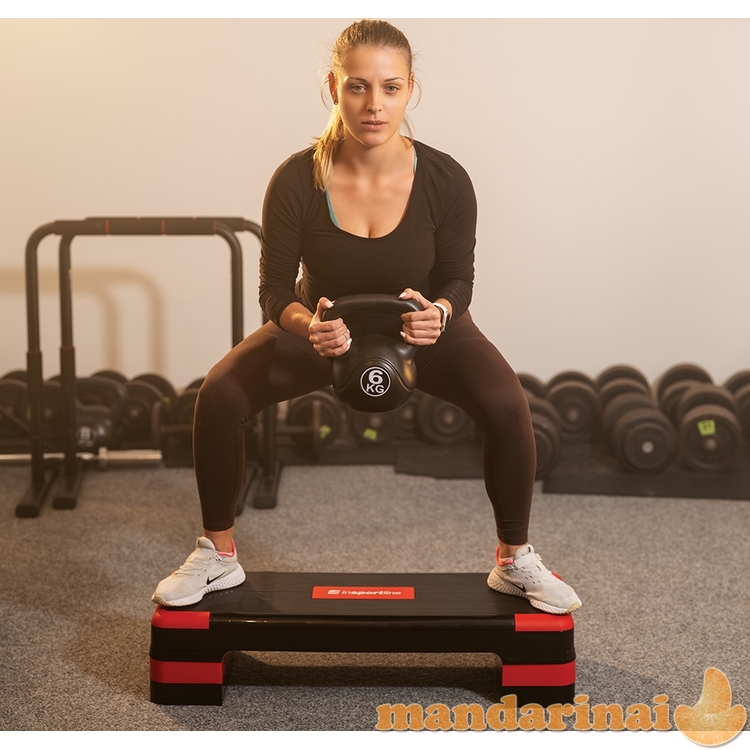 Aerobikos pratimų platforma inSPORTline AS250 1