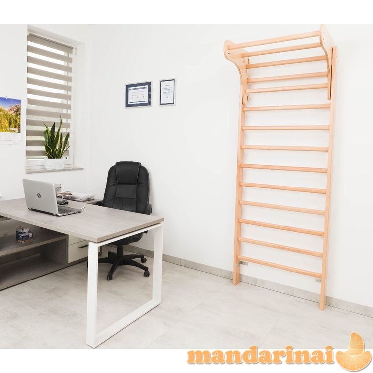 Skersinis montuojamas prie sienelės inSPORTline Directline 90 cm 1