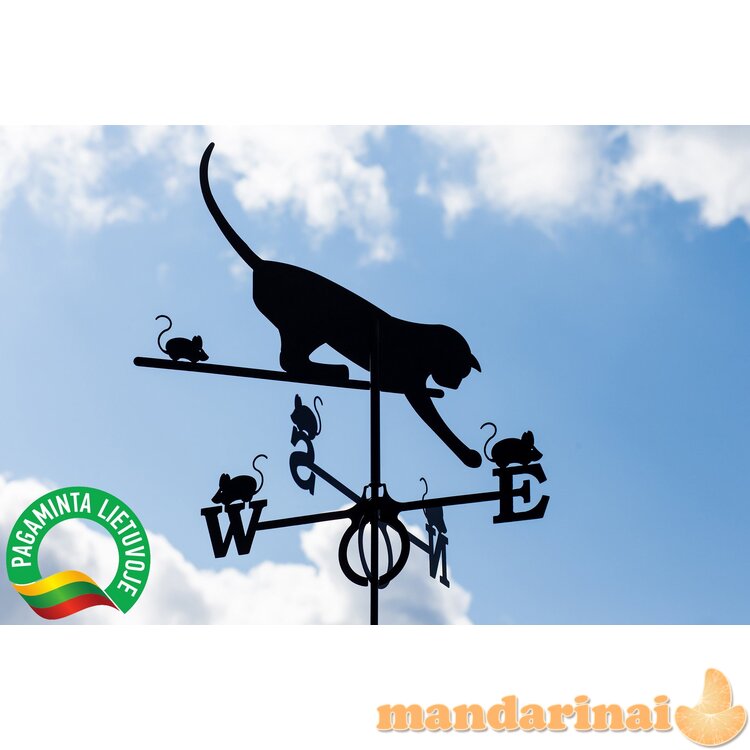 Vėjarodis ,,Katinas