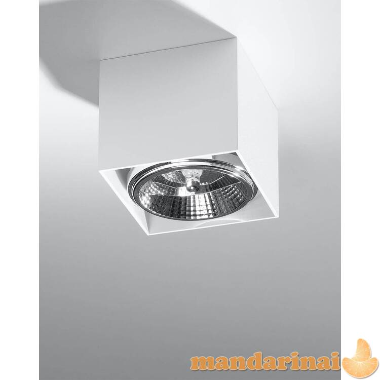 Šviestuvas Blake White