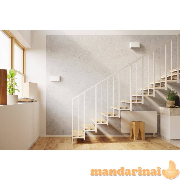 Sieninis šviestuvas dangtis 5