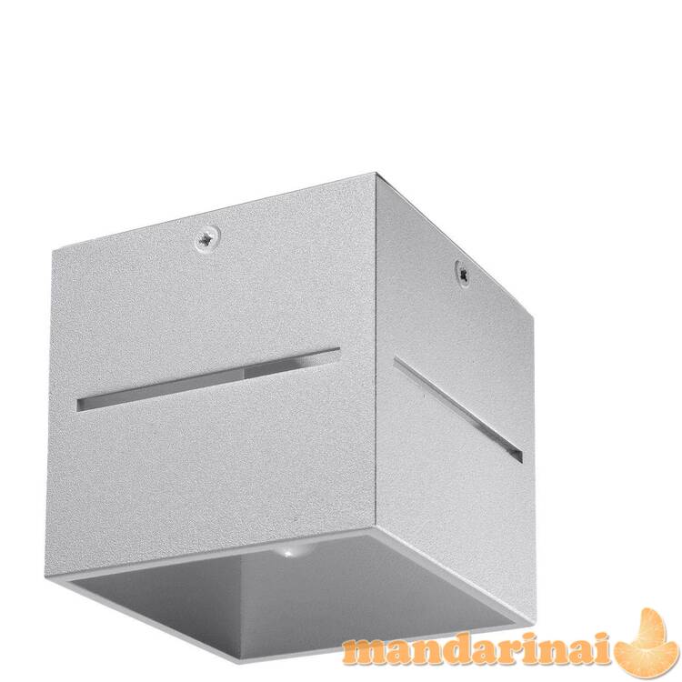 Lubinis šviestuvas lobo pilka