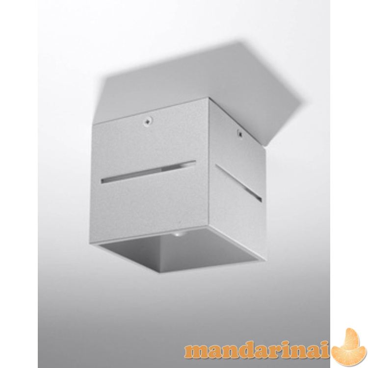 Lubinis šviestuvas lobo pilka