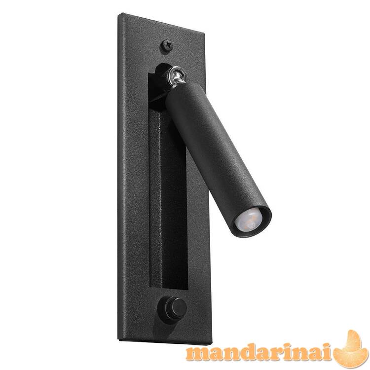 Sieninė lemputė Enif juoda