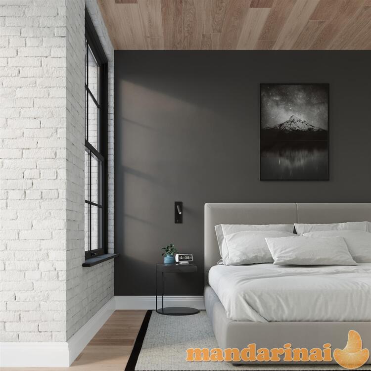 Sieninė lemputė Enif juoda