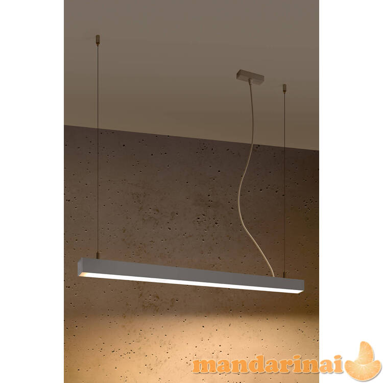 Pakabinama lempa PINNE 90 pilkos spalvos 2