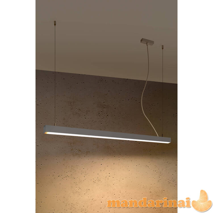 Pakabinama lempa PINNE 117 pilkos spalvos 2