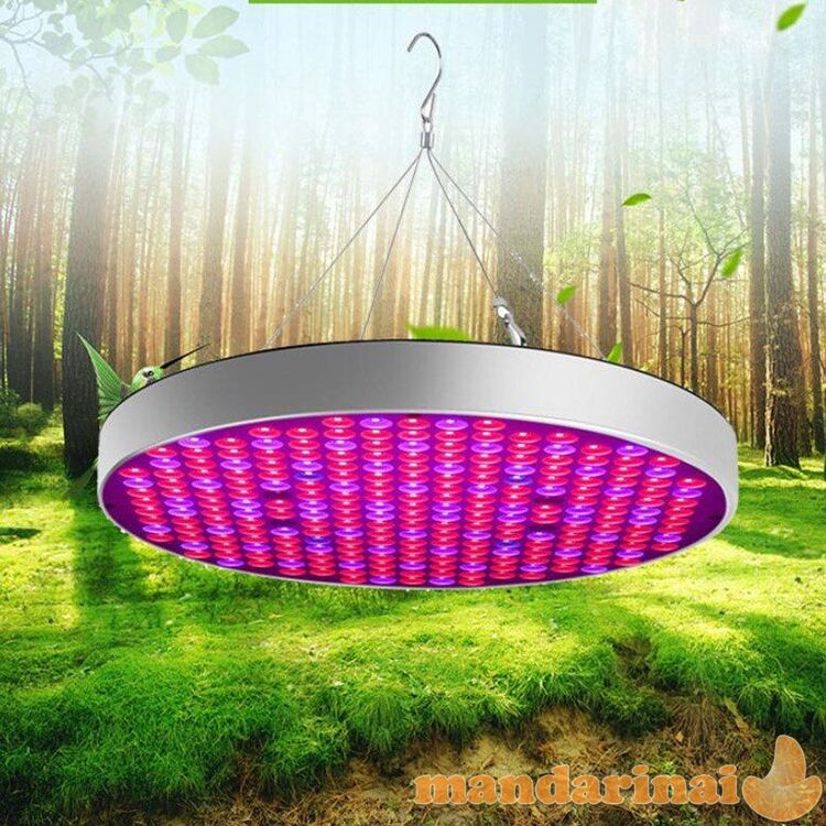 50W UFO pilno spektro šviestuvas augalams