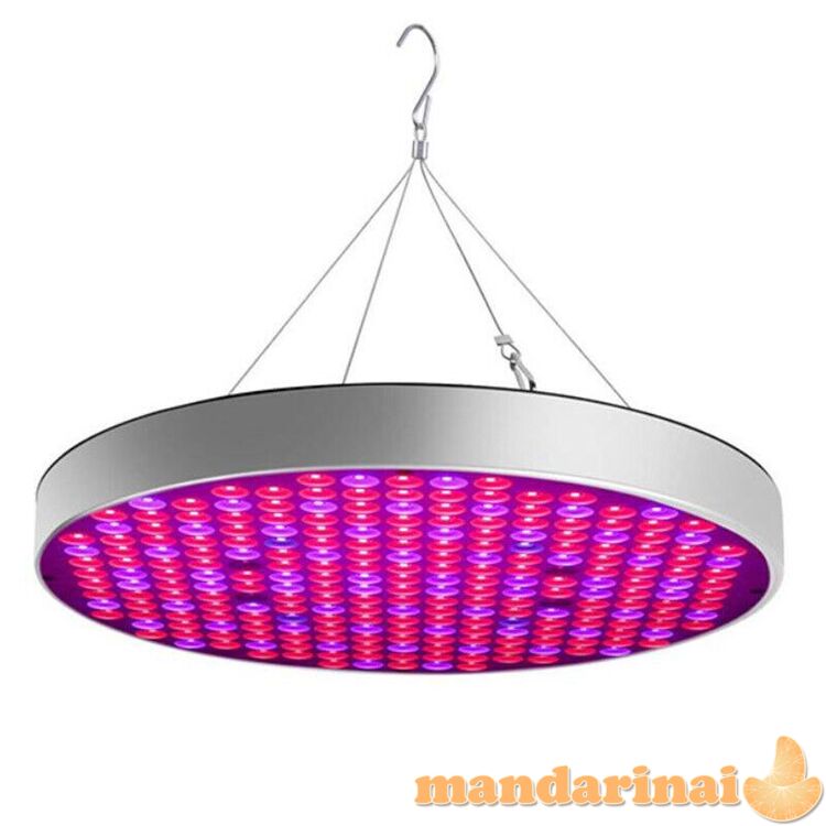 50W UFO pilno spektro šviestuvas augalams
